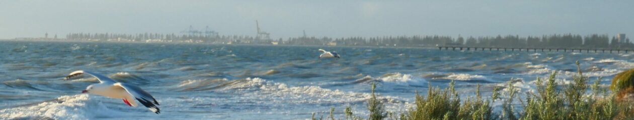 Port Adelaide Residents Environment Protection Group